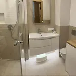 Apartament Czysta